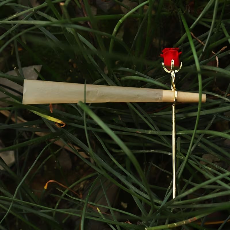 Elegante Tuquero de Leo Mattioli