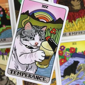 Arcanos Mayores, 22 Gatitos del autoconocimiento