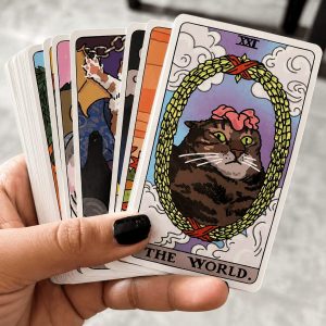 Arcanos Mayores, 22 Gatitos del autoconocimiento