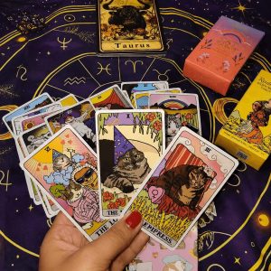 Arcanos Mayores, 22 Gatitos del autoconocimiento